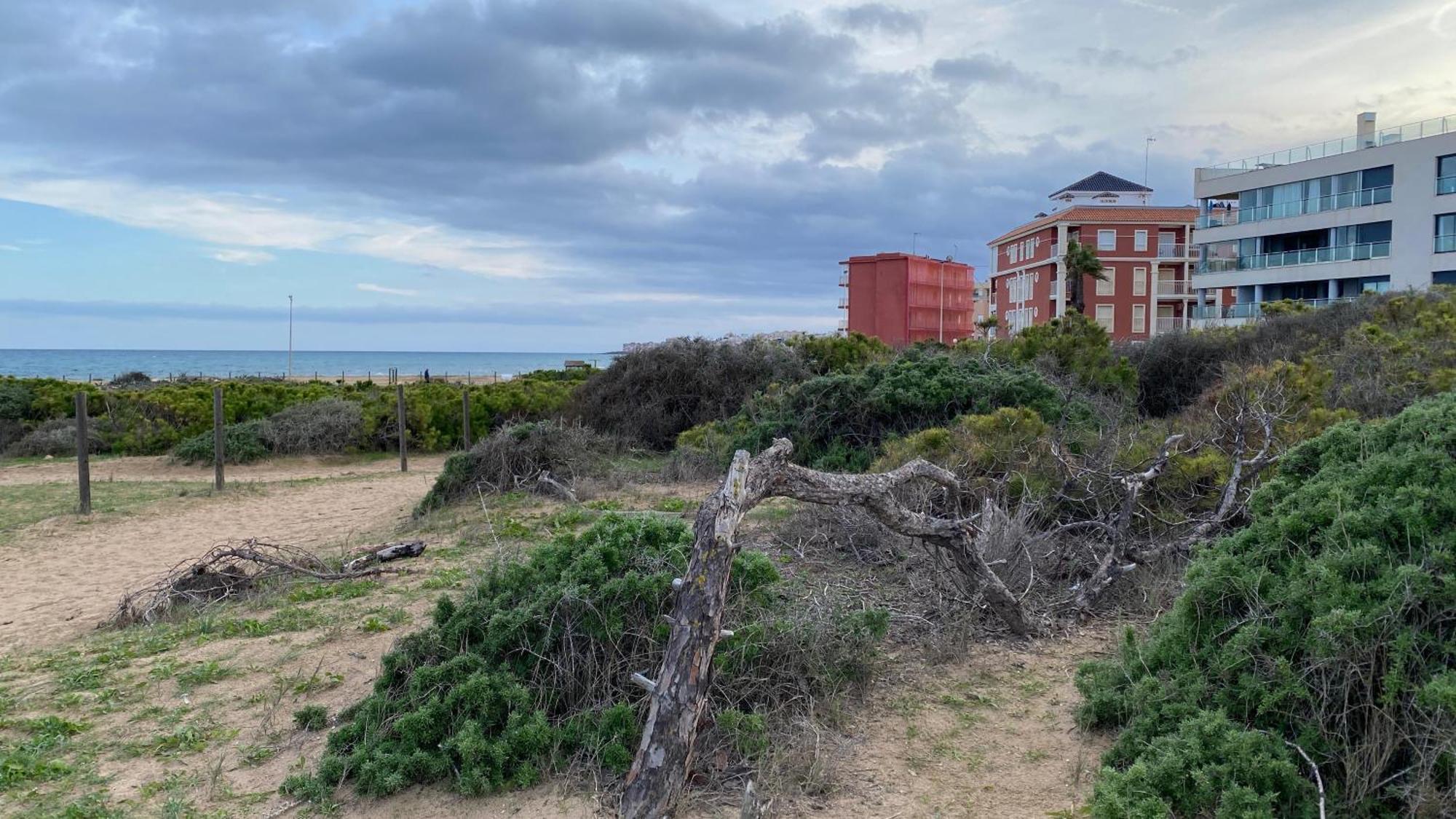 Beachfront In La Mata Apartment